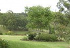 Edgeworthresidential-landscaping-40.jpg; ?>